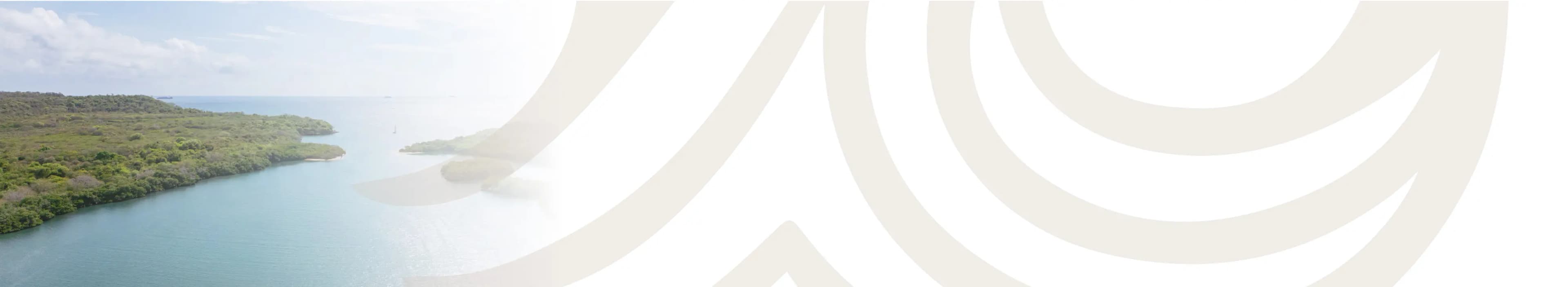 image - form